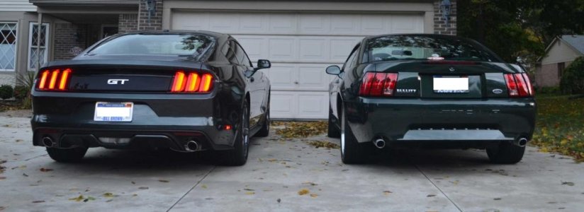 2015-Guard-Mustang-005_zps492618e9.jpg