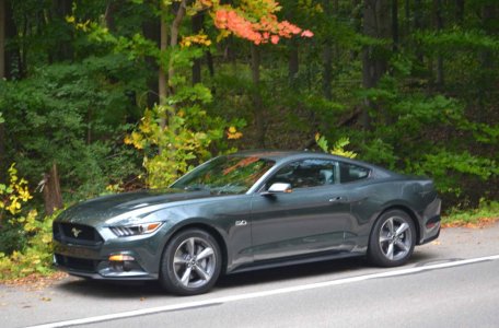 2015-Guard-Mustang1-021_zps935b5fe7.jpg
