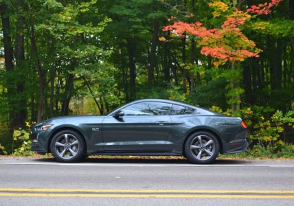2015-Guard-Mustang1-013_zps32d81156.jpg