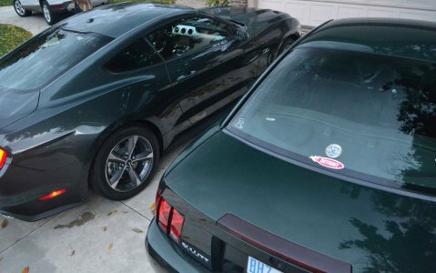 2015-Guard-Mustang-006_zpsfcf3734b.jpg