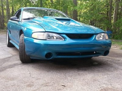 Mustang1.jpg Mustang1.jpg
