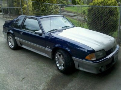 mustang.jpg