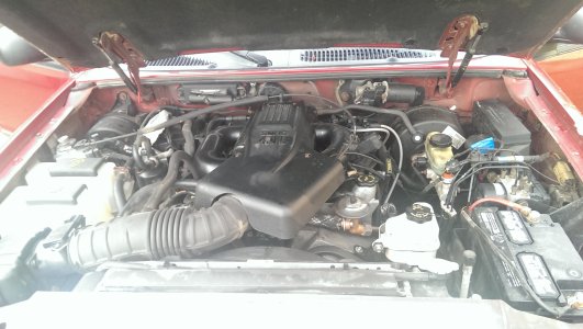 IMAG2278.jpg