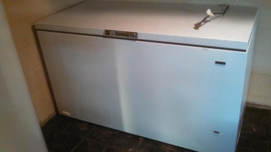 freezer.jpg