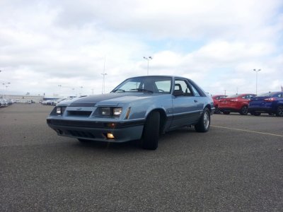 Fox body.jpg