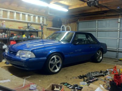 big mustang.jpg