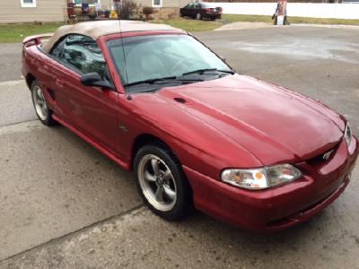 mustang.png