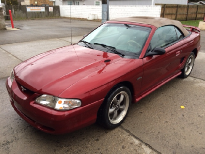 mustang1.png