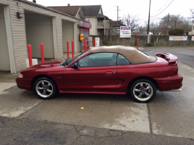 mustang2.png mustang2.png