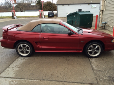 mustang3.png