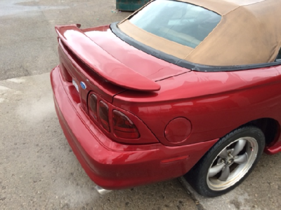 mustang4.png