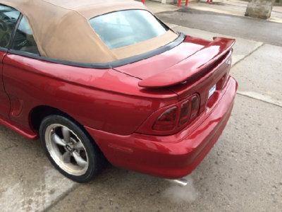 mustang5.png