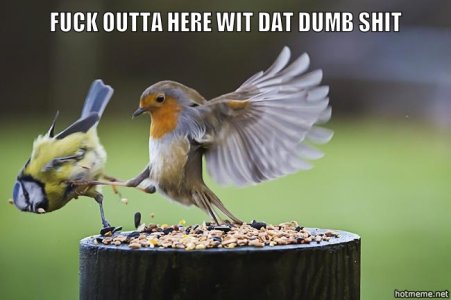 wPN-fuck-outta-here-wit-dat-dumb-shit.jpg