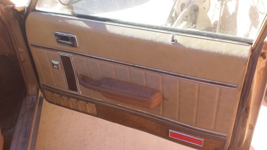 p door1.jpg