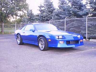 glfcrse4.jpg