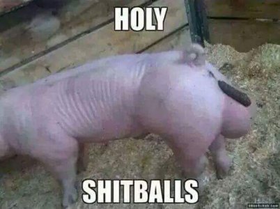 FB_IMG_1423010030855.jpg