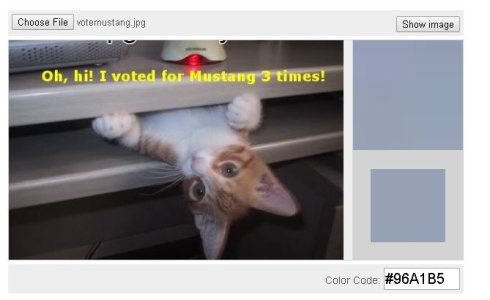 bluecat.JPG