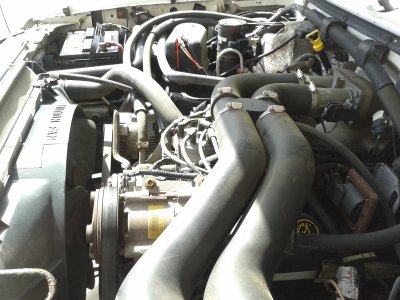 20150330_131645.jpg
