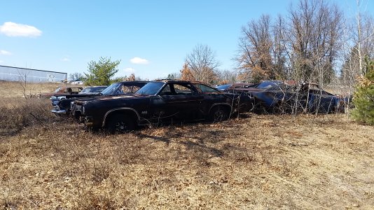 20150411_135157.jpg