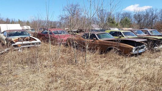 20150411_134229.jpg