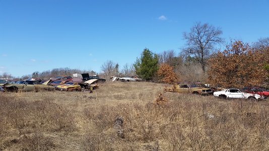 20150411_133039.jpg