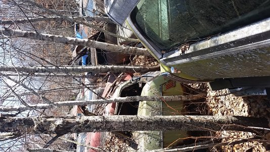 20150411_125132.jpg