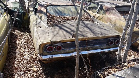 20150411_125054.jpg