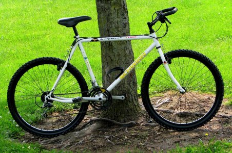Schwinn 1.JPG