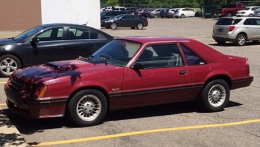 82 Mustang.jpg