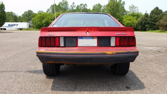 1981 cobra (4).jpg 1981 cobra (4).jpg