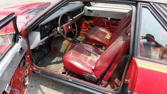1981 cobra (5).jpg 1981 cobra (5).jpg