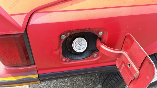 1981 cobra (7).jpg
