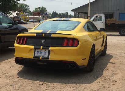 GT350 REAR.jpg