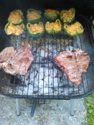 WP_20150620_002.jpg