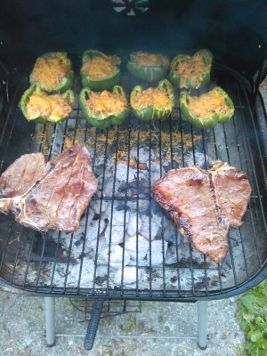 WP_20150620_001.jpg