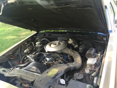 7D37BB80-E948-4D33-89D4-8CD3453C9D6E_zpsvjrg1tib.jpg