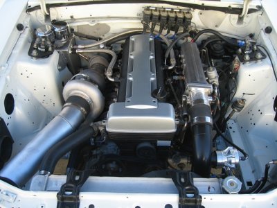 suprastang41.jpg