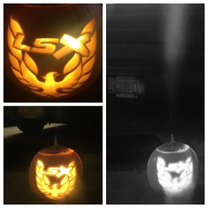 LSX pumpkin.jpeg