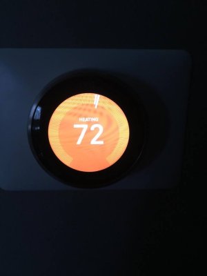 nest.jpg