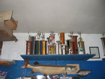 trophies-vi.jpg