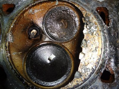 escort piston.jpg