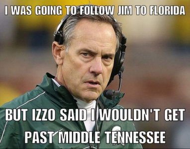 msu.jpg