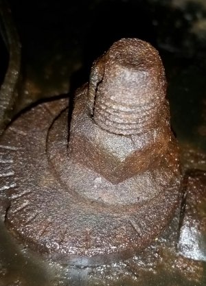 image.jpeg