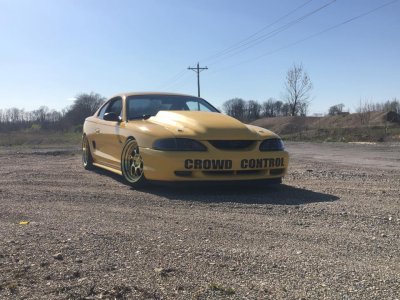 mustang.jpg