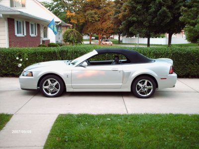 resized Cobra1.jpg
