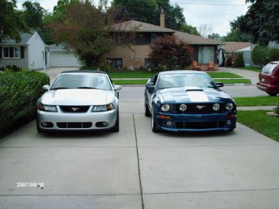 roush cobra resized.jpg
