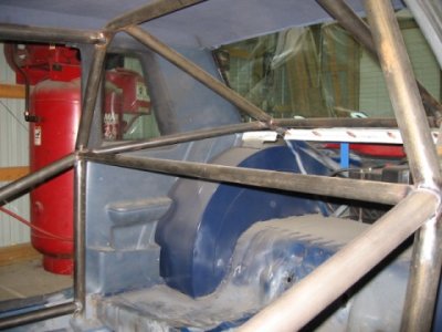 cagerear.JPG