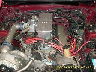 mustang6.jpg