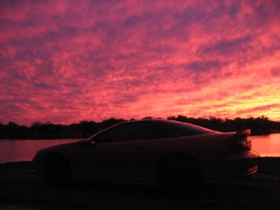 IMG_1561_s.JPG