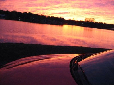 IMG_1564_s.JPG